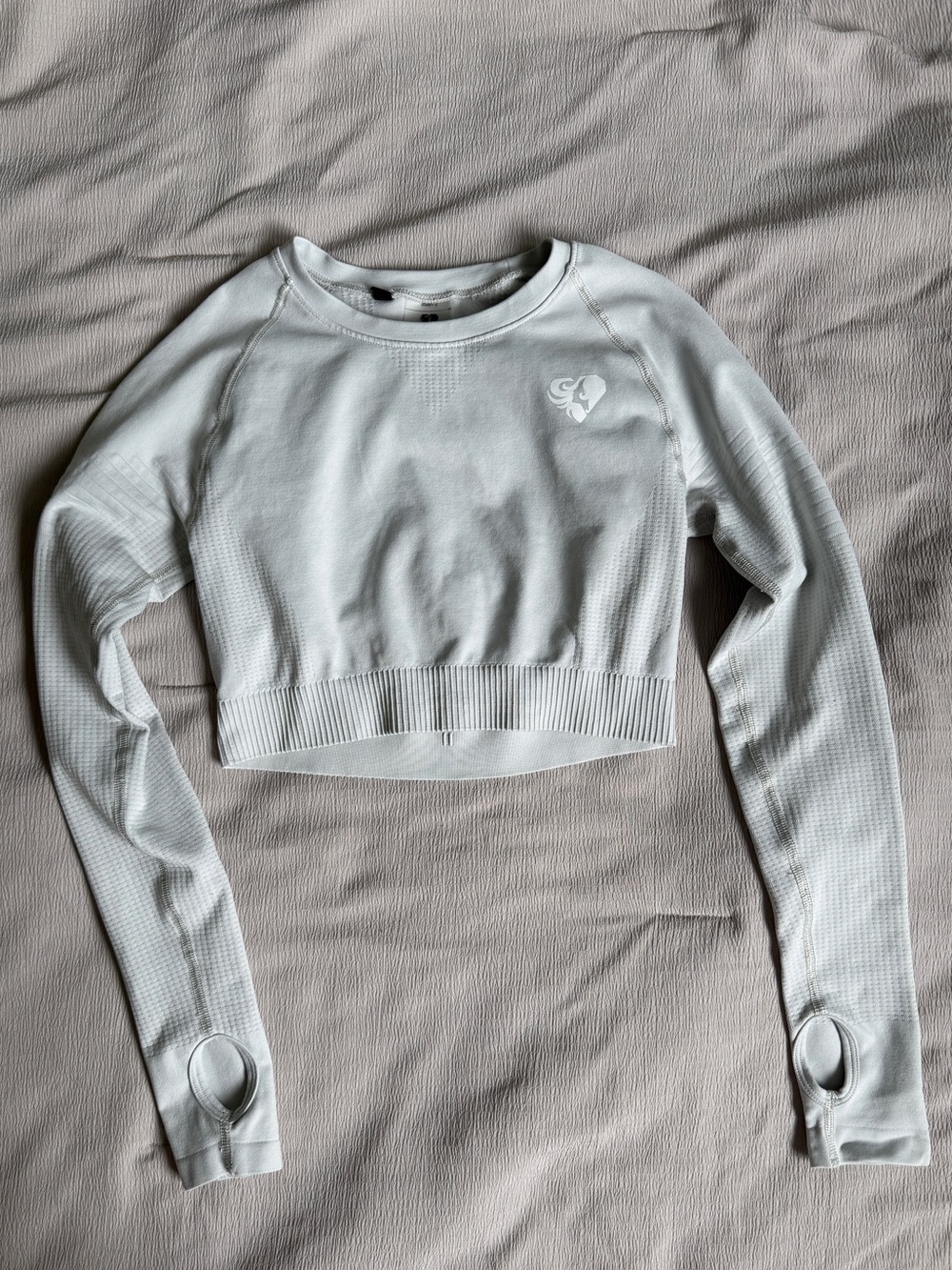 Power Long Sleeve Crop Top